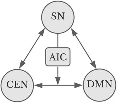 Aesthetic experience models human learning